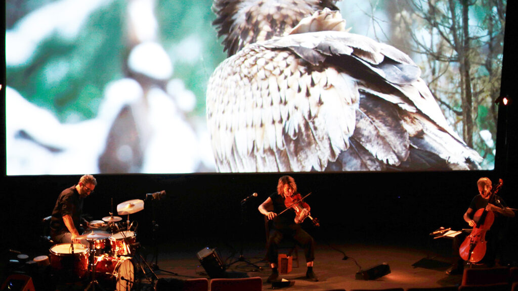cinéma et musiciens
